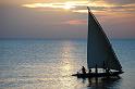 setting sun